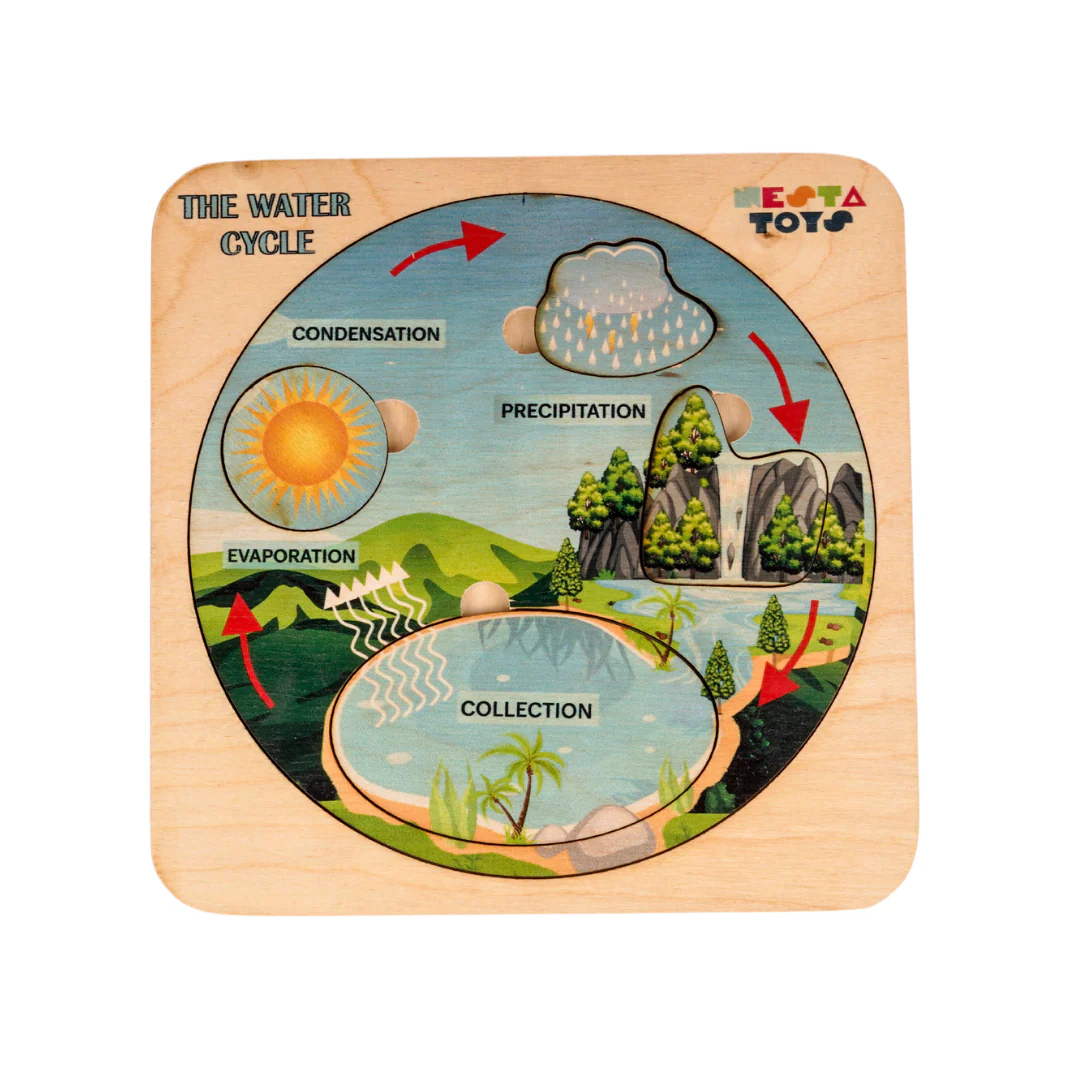 NESTA TOYS - Montessori Wooden Water Cycle Puzzle | Educational STEM Learning Toy