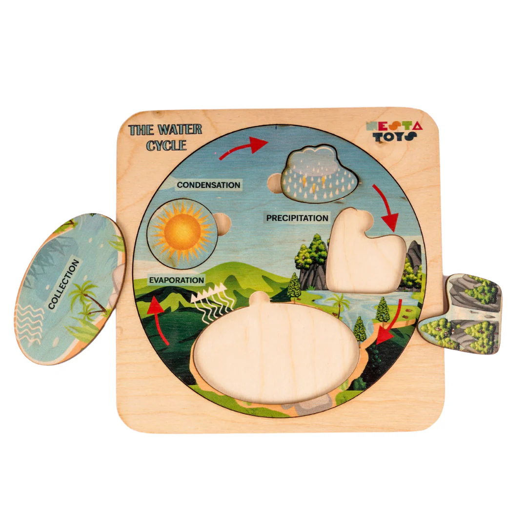 NESTA TOYS - Montessori Wooden Water Cycle Puzzle | Educational STEM Learning Toy - Image 2